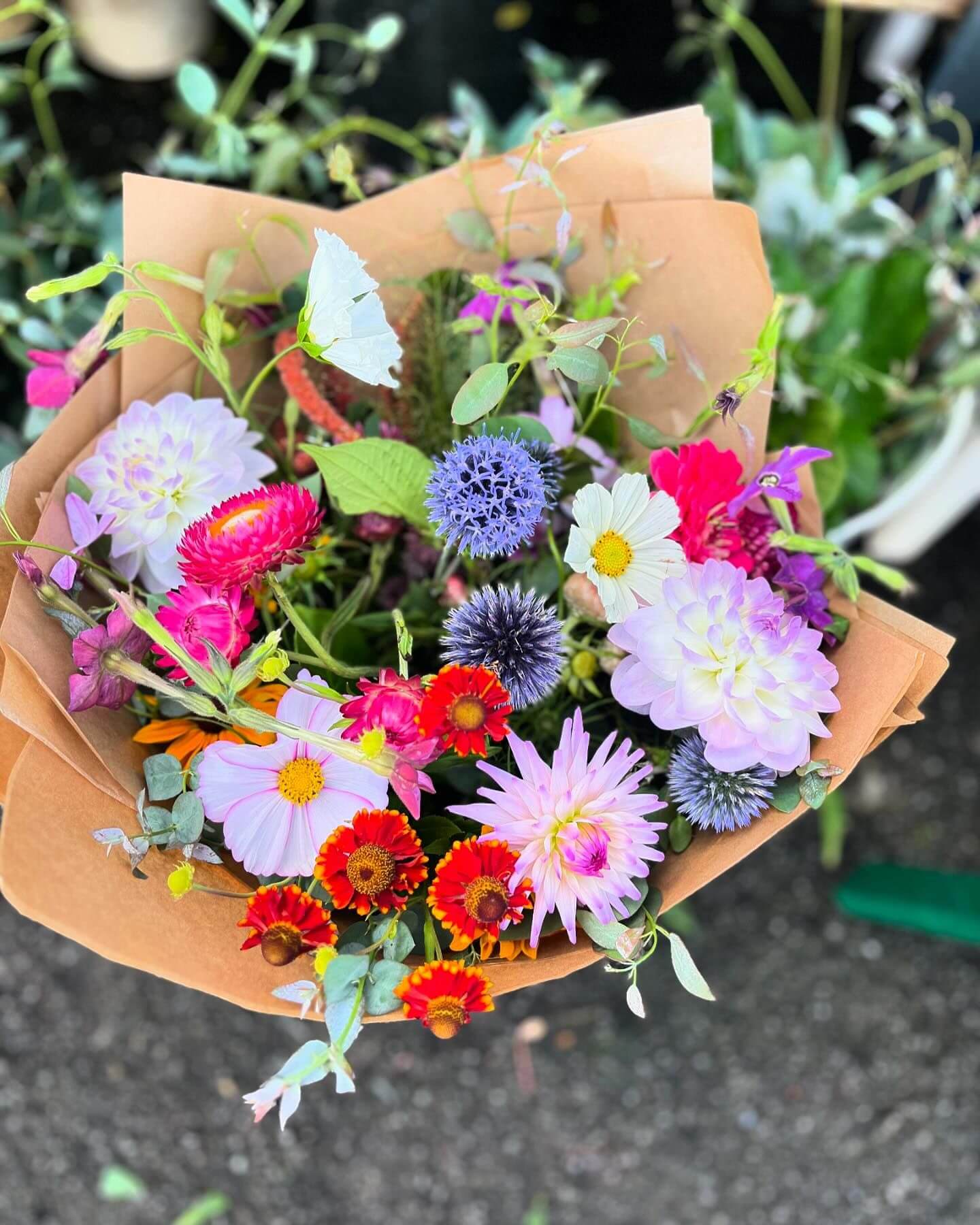 Nicci's Blooms Flower Arrangement